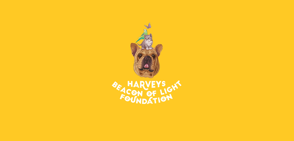 Untitled design (13).png